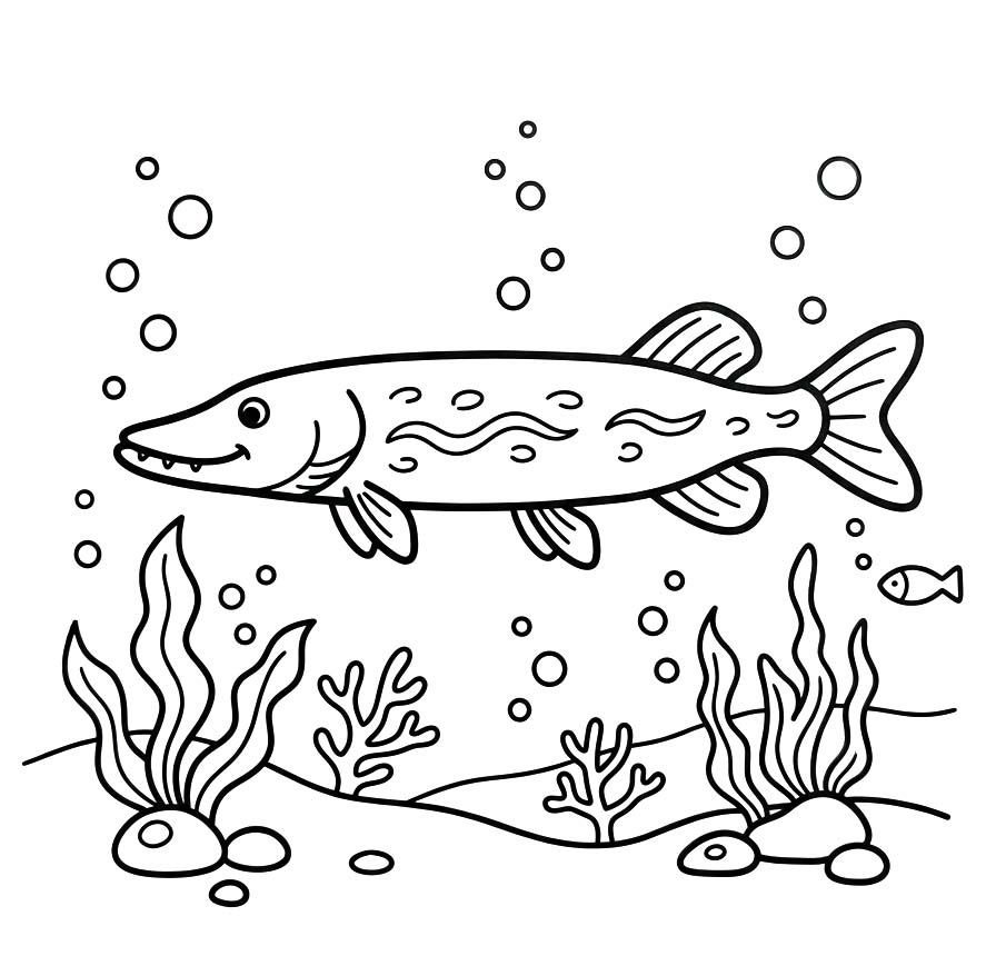Afbeelding Snoek