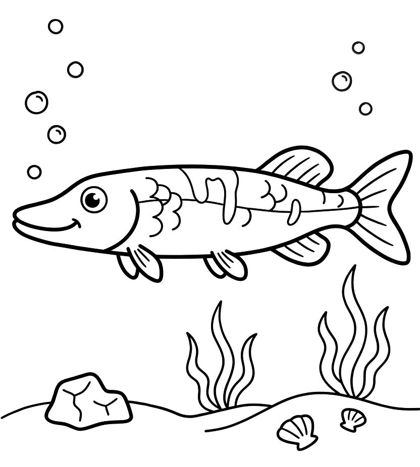 Afbeelding Snoek printbaar