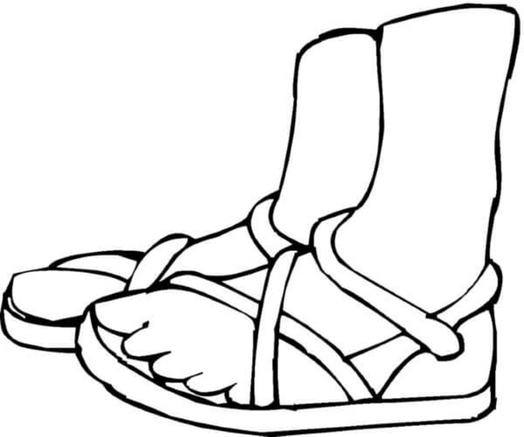 Schoen gratis basis