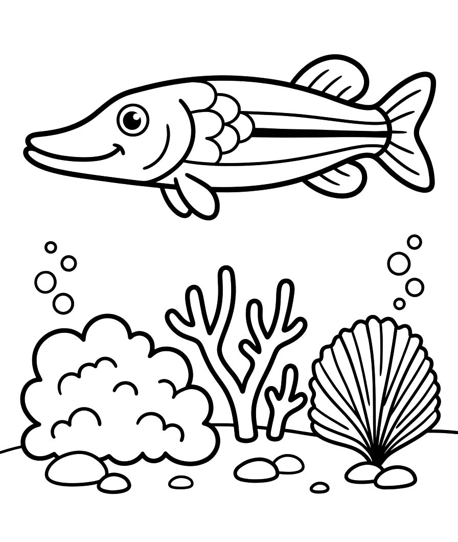 Snoek afdrukbaar basis