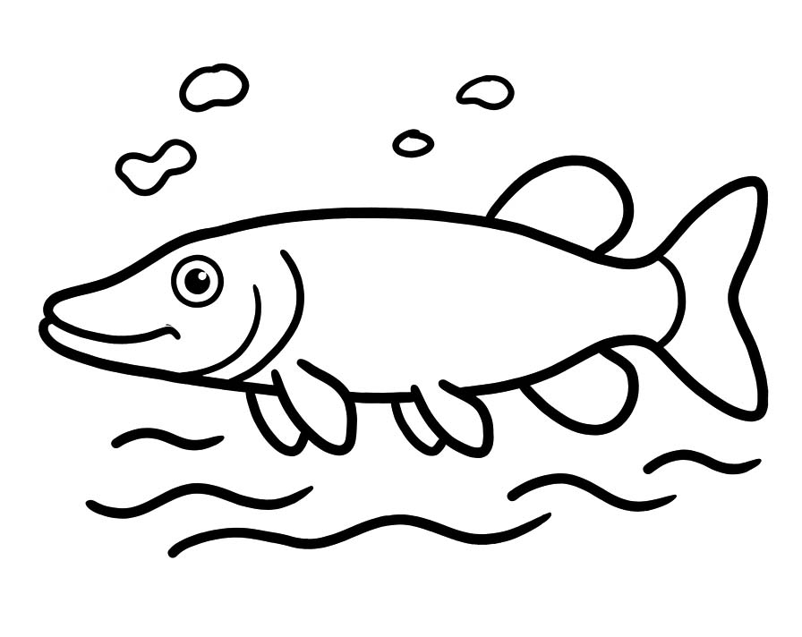 Snoek afdrukbaar