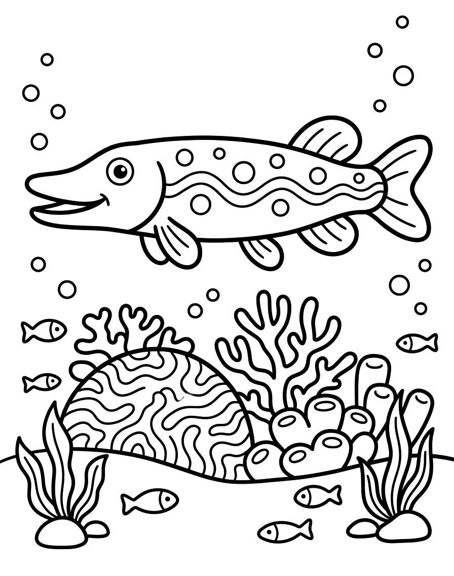 Snoek gratis basis