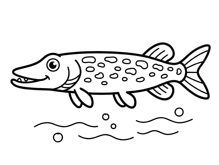 Snoek gratis