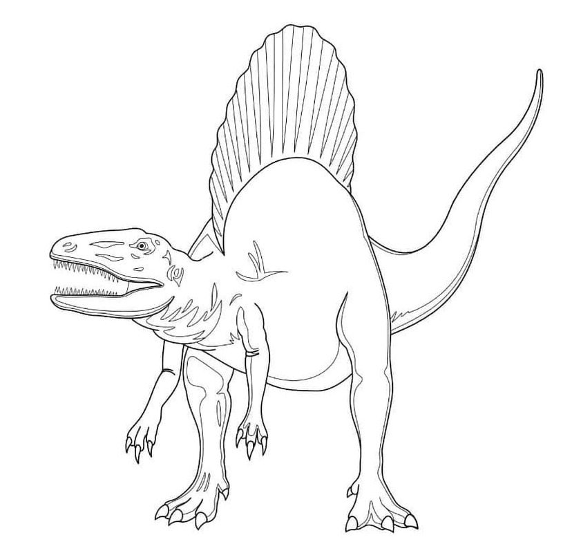 Spinosaurus gratis basis