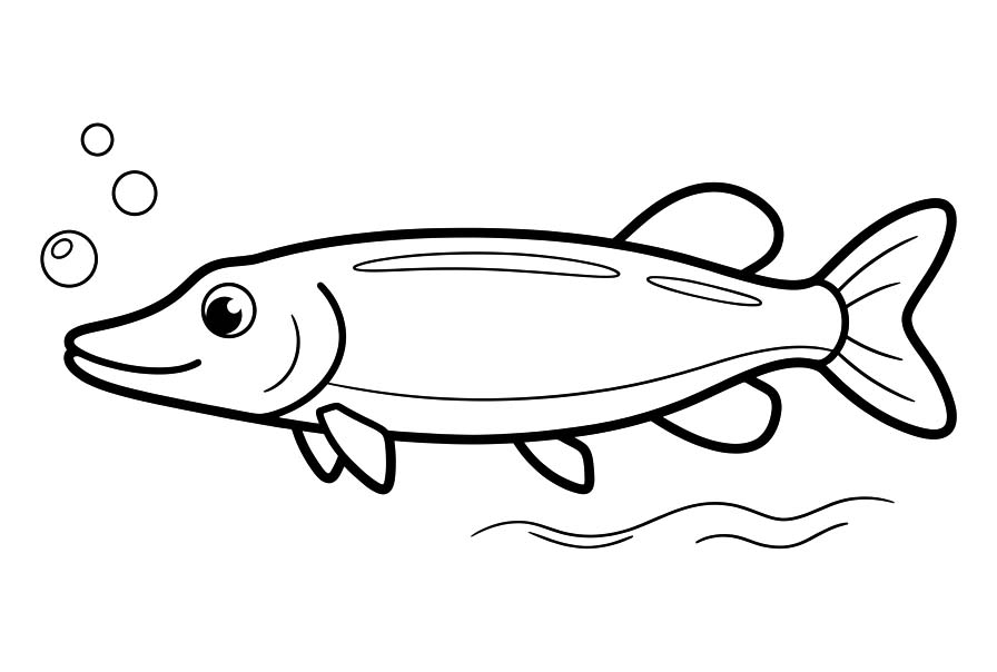 Tekenen Snoek