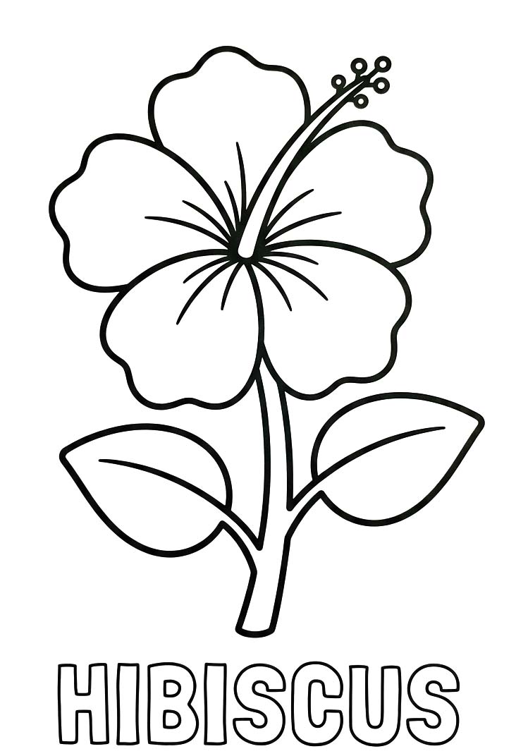 Afbeelding Hibiscus