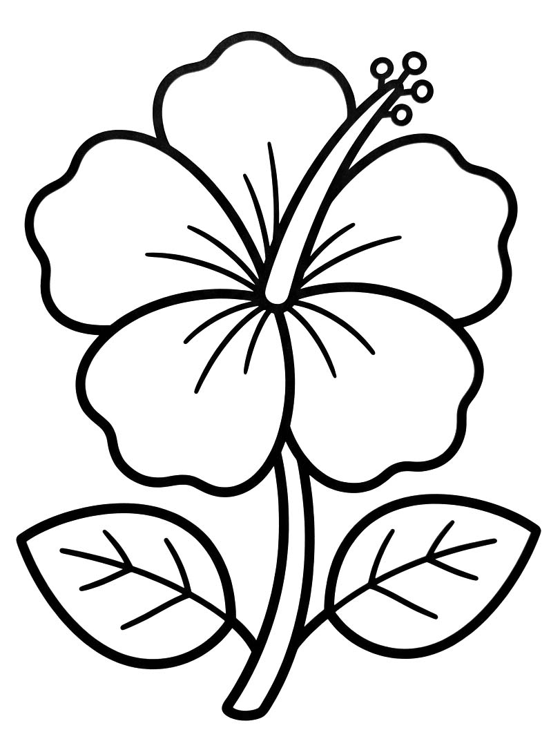 Afbeelding Hibiscus printbaar
