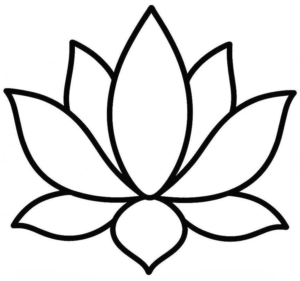 Afbeelding Lotusbloem