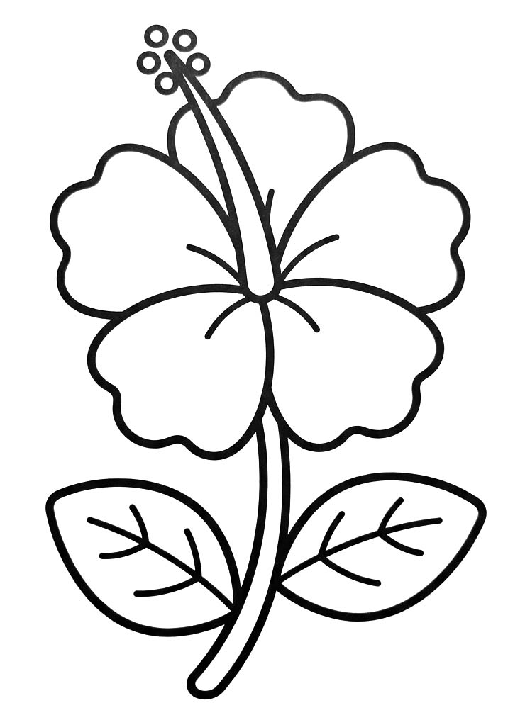 Hibiscus afdrukbaar basis