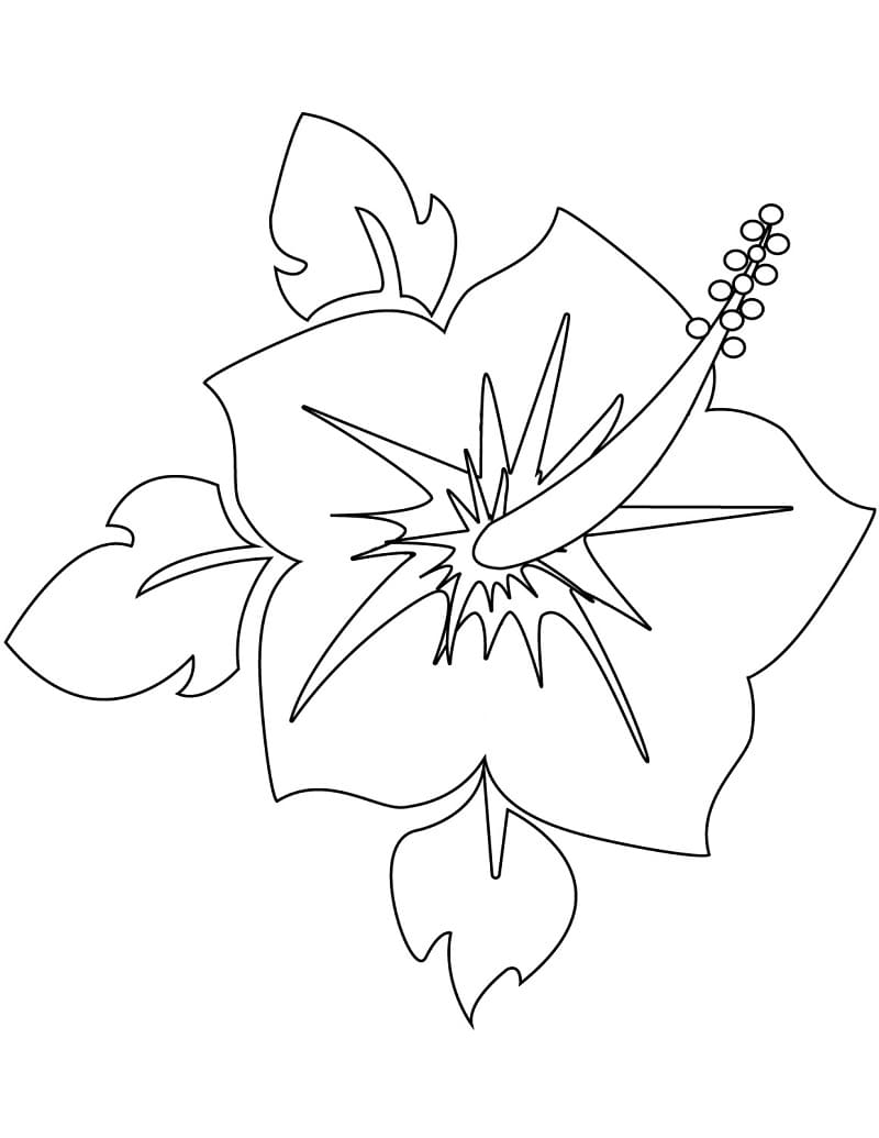 Hibiscus afdrukbaar eenvoudig
