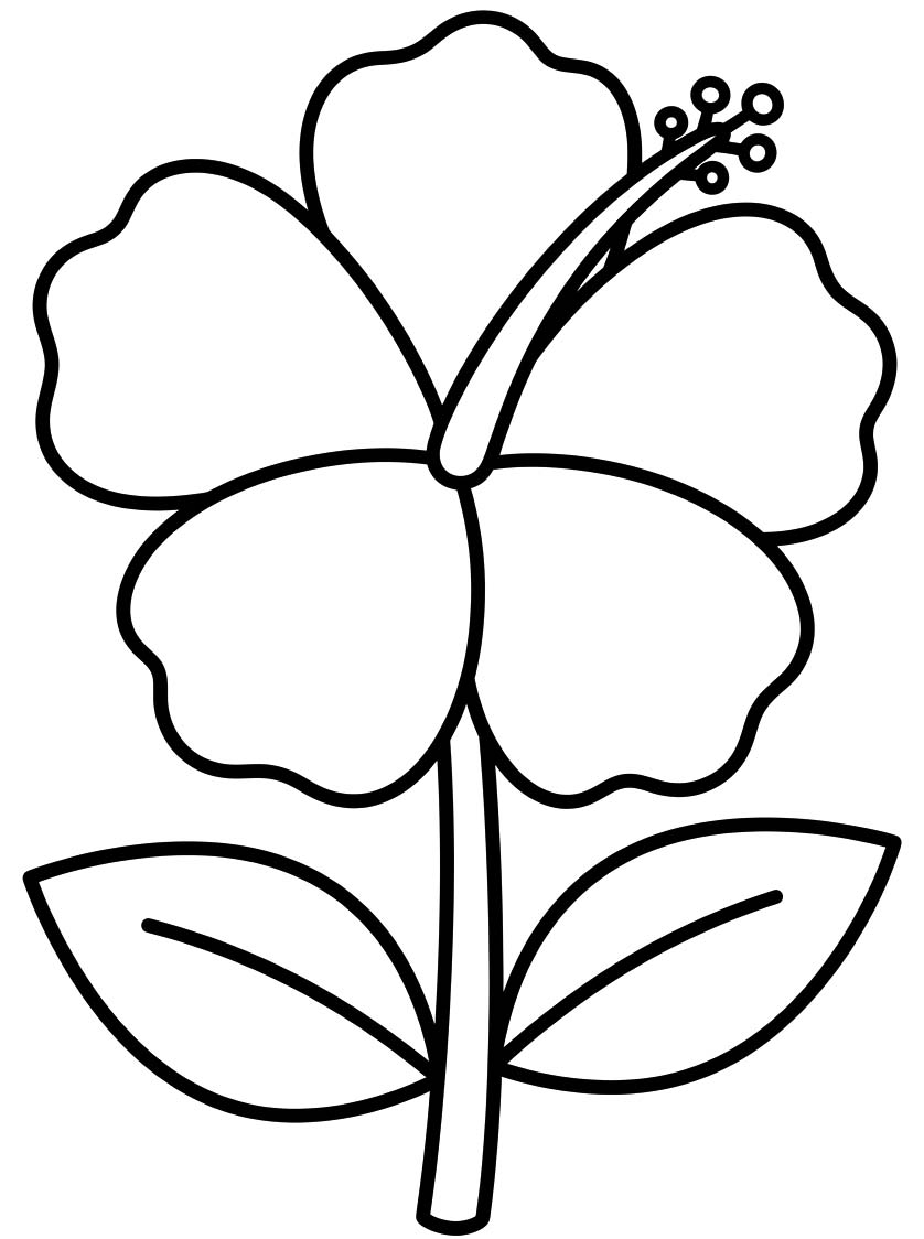 Hibiscus afdrukbaar voor kinderen