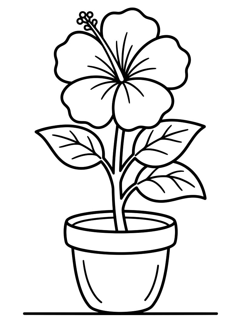 Hibiscus gratis simpel