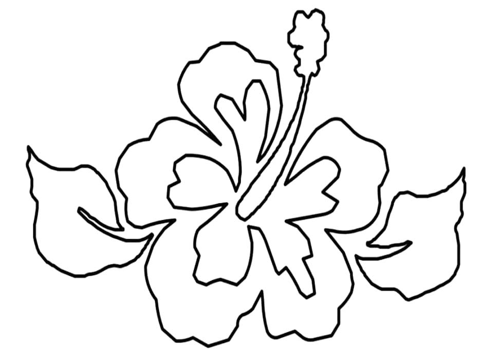 Hibiscus gratis voor kinderen