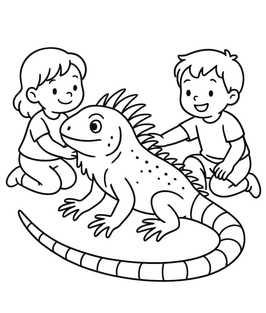 Leguanen voor kinderen