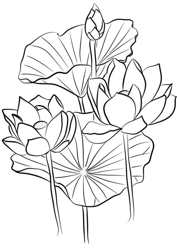 Lotusbloem afdrukbaar simpel