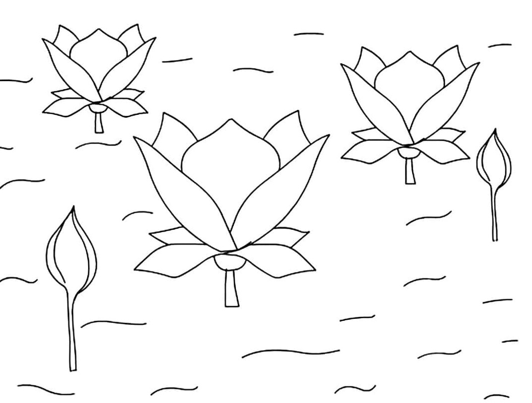 Lotusbloem gratis