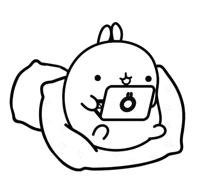 Molang voor kinderen