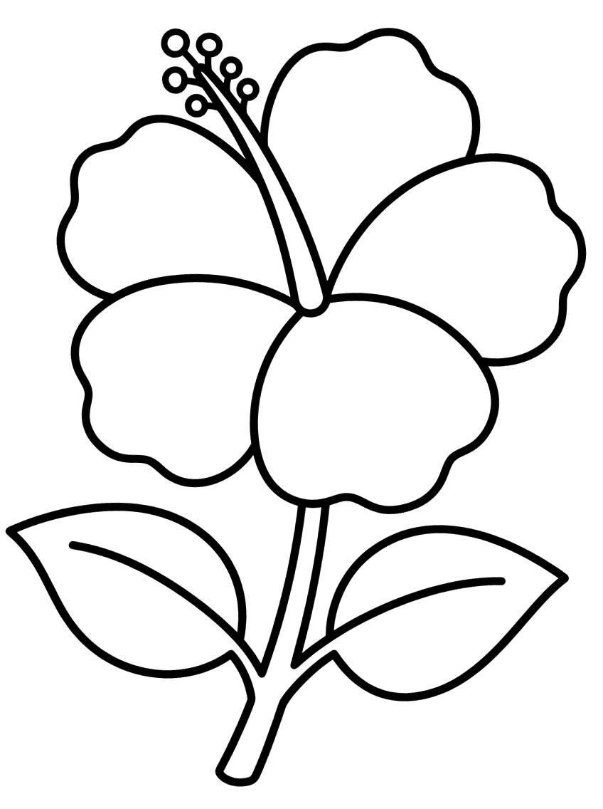 Tekenen Hibiscus afdrukbaar basis