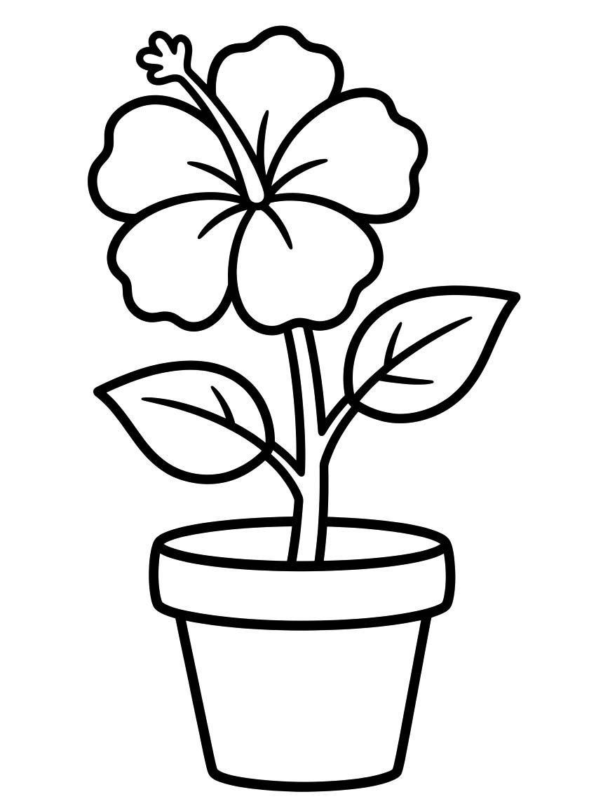 Tekenen Hibiscus eenvoudig