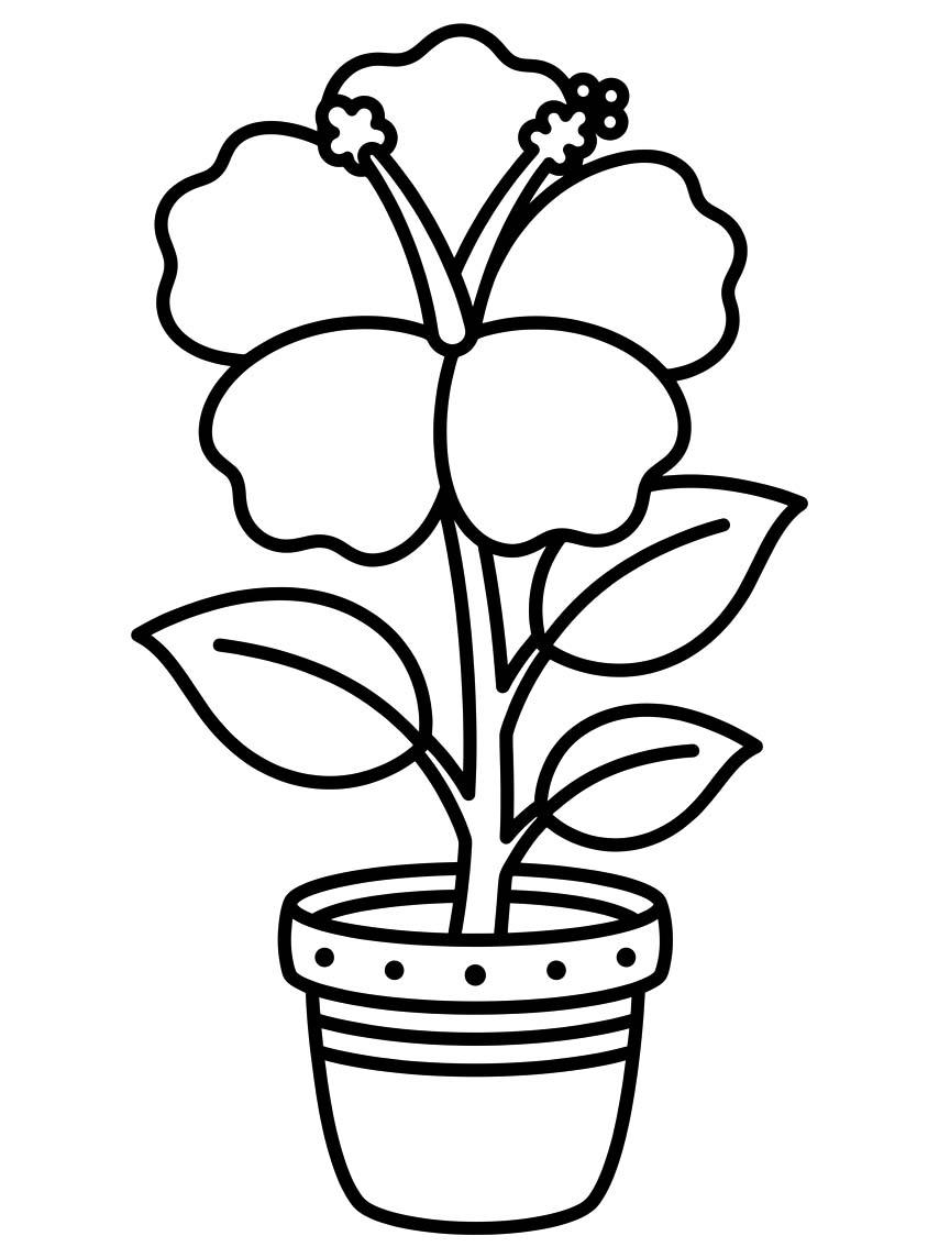 Tekenen Hibiscus gratis afdrukbaar basis