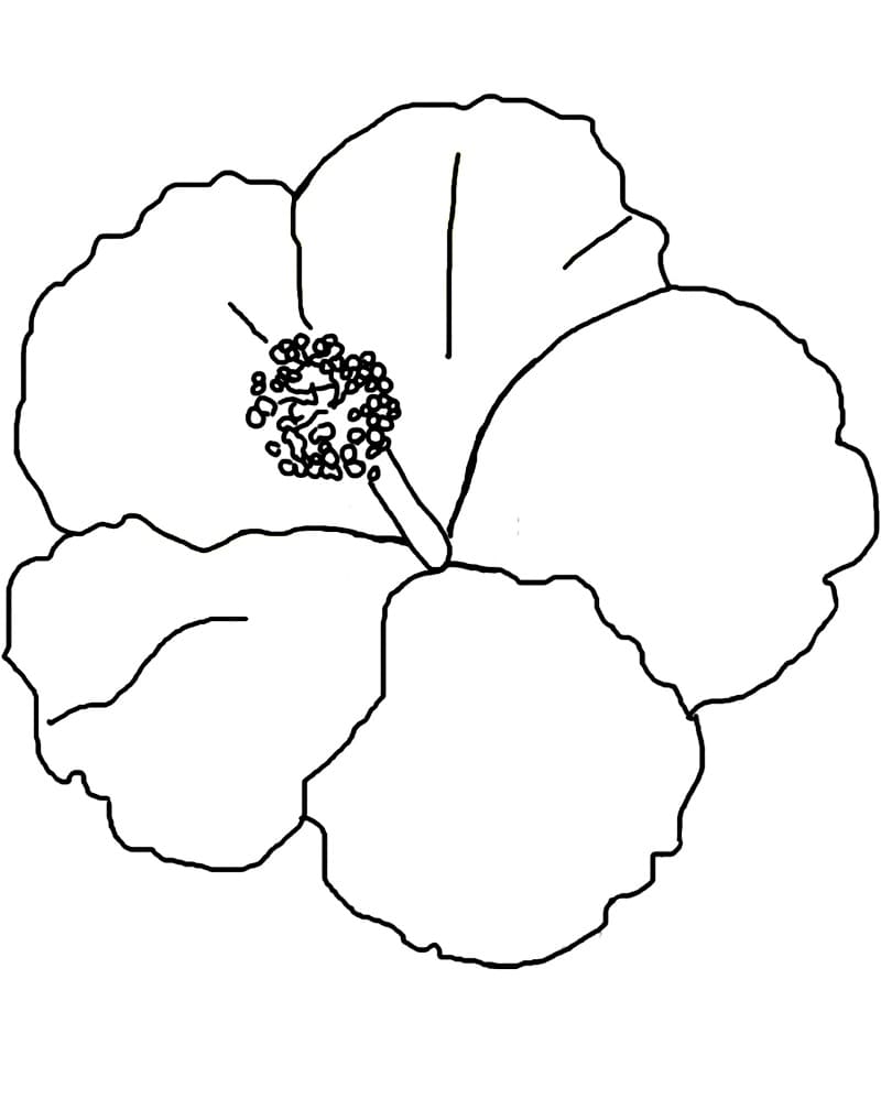 Tekenen Hibiscus gratis afdrukbaar simpel
