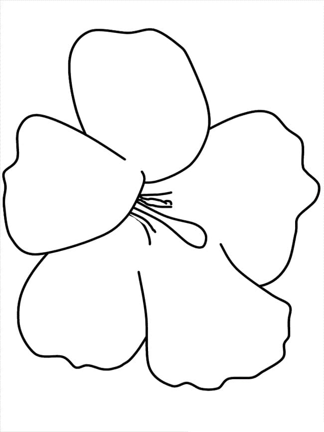 Tekenen Hibiscus gratis simpel