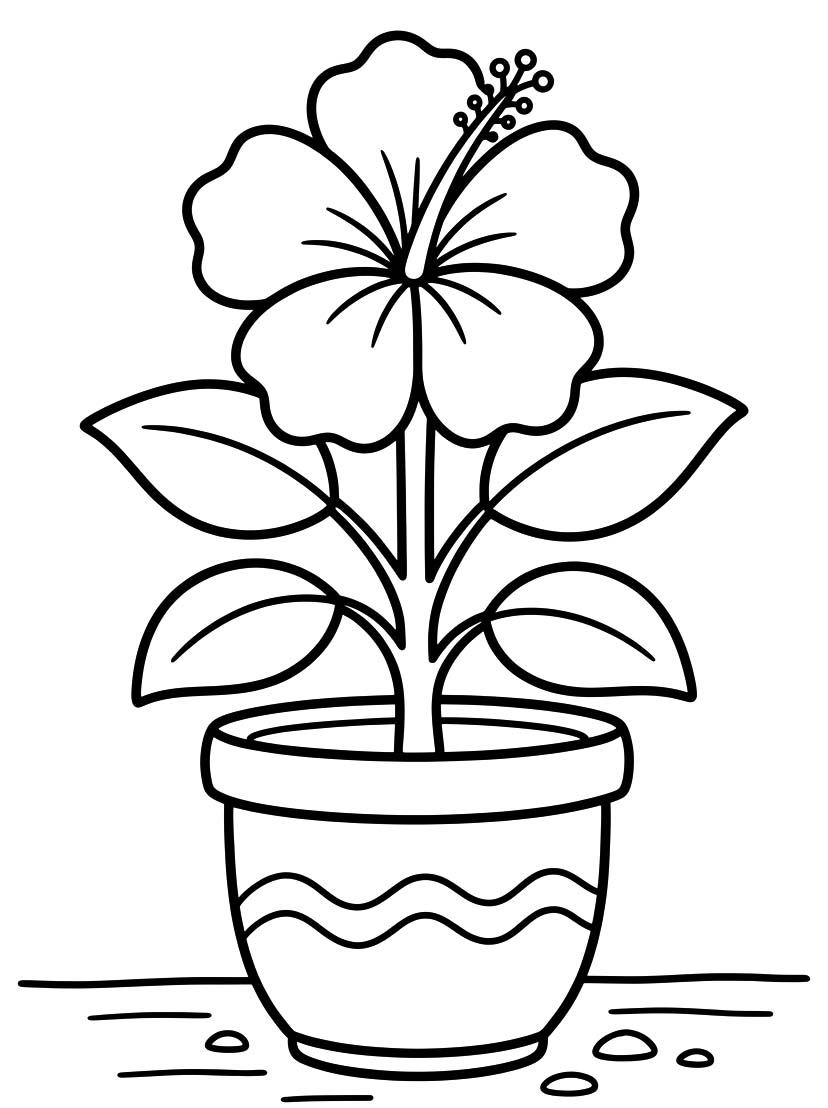 Tekenen Hibiscus