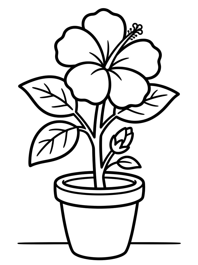 Tekenen Hibiscus voor kinderen