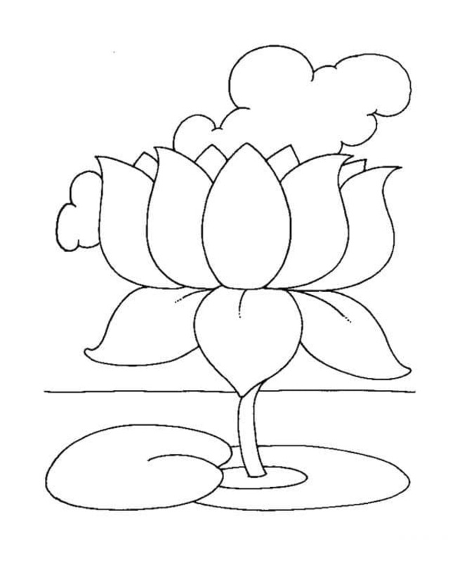 Tekenen Lotusbloem gratis