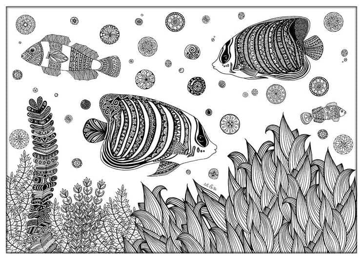 Tekenen Zentangle afdrukbaar eenvoudig