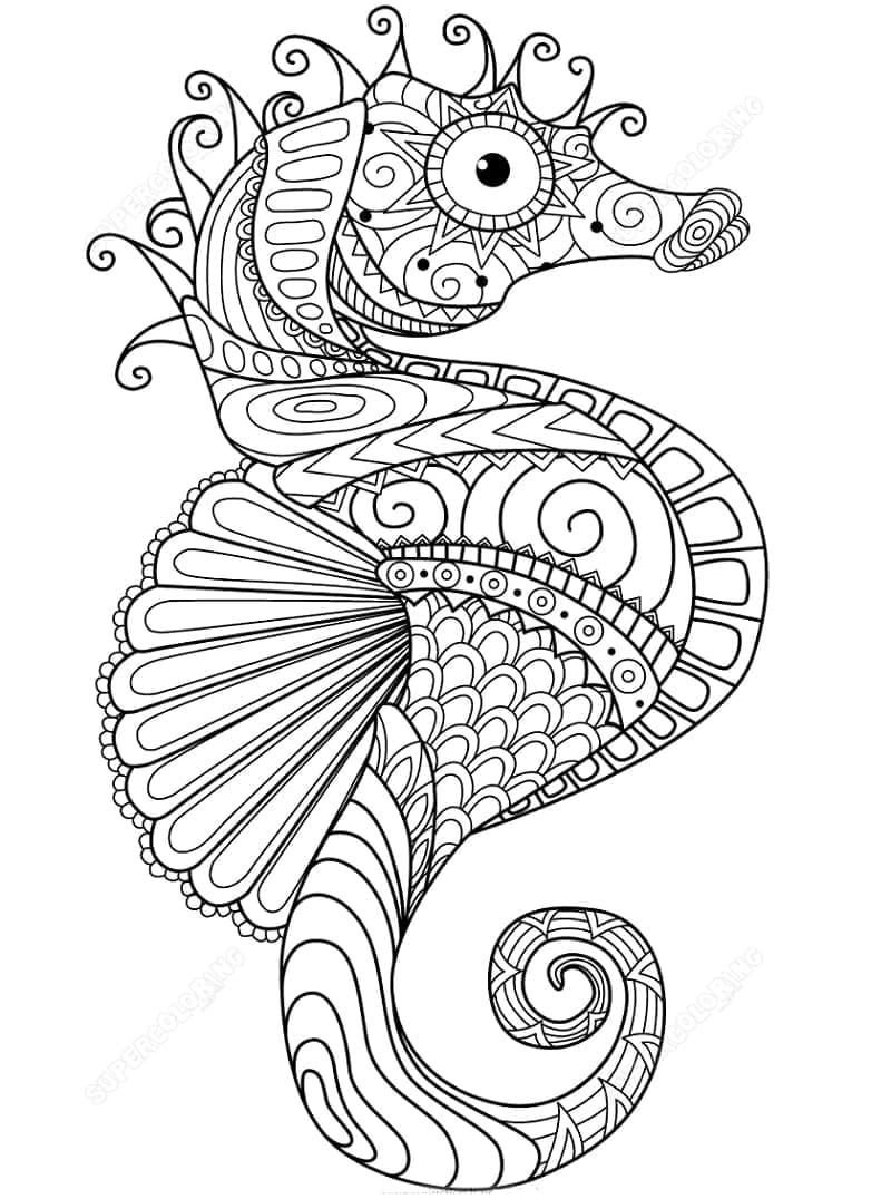 Tekenen Zentangle eenvoudig