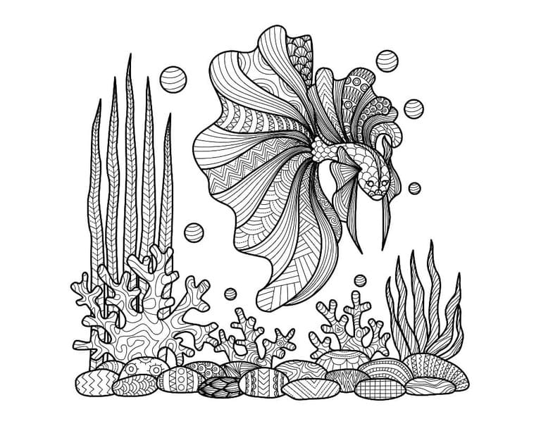 Zentangle voor kinderen