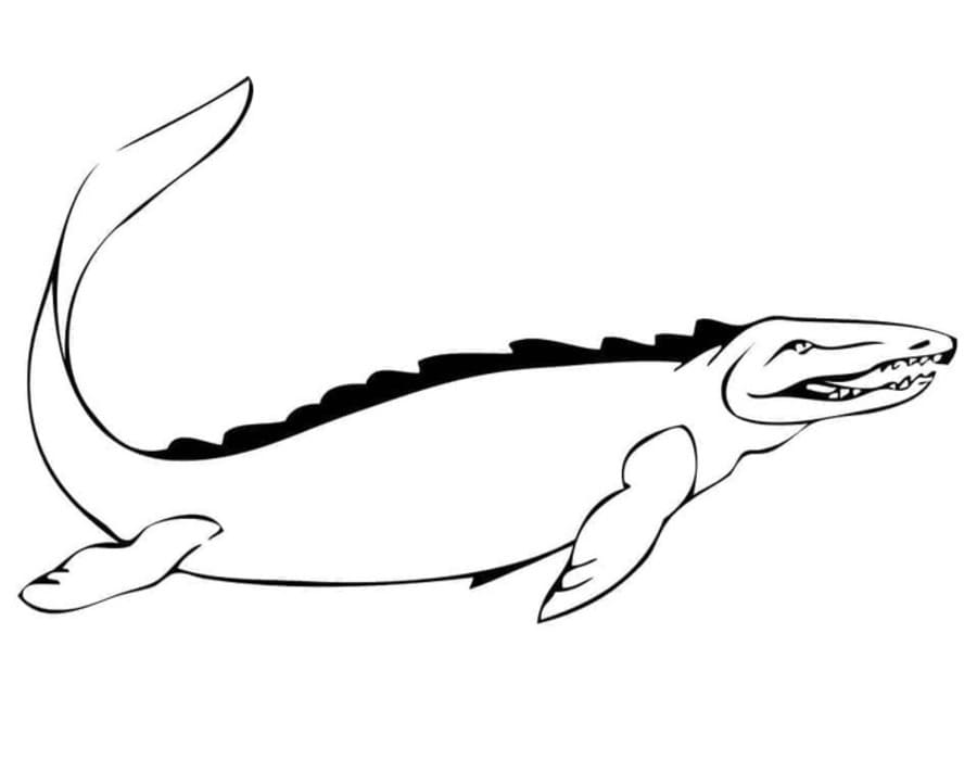 Afbeelding Mosasaurus
