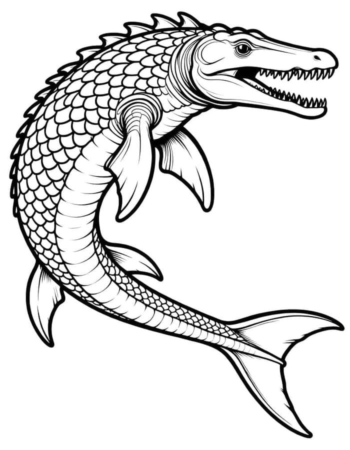 Mosasaurus gratis basis