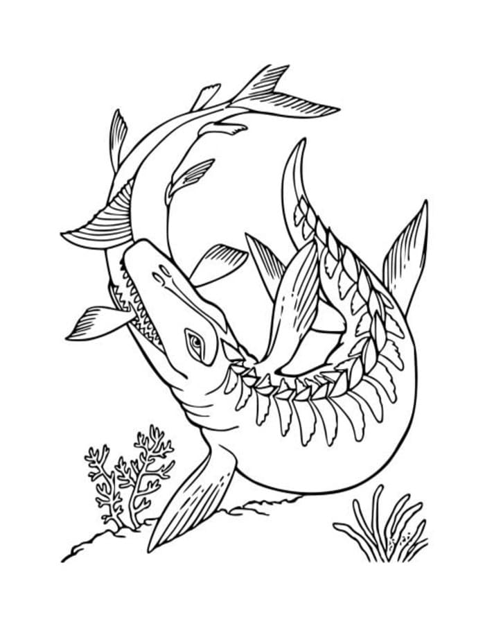 Mosasaurus