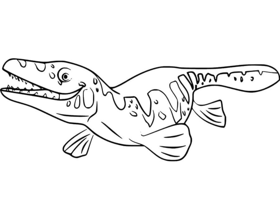 Tekenen Mosasaurus basis