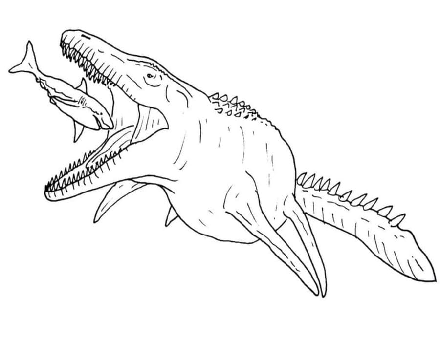 Tekenen Mosasaurus gratis afdrukbaar simpel
