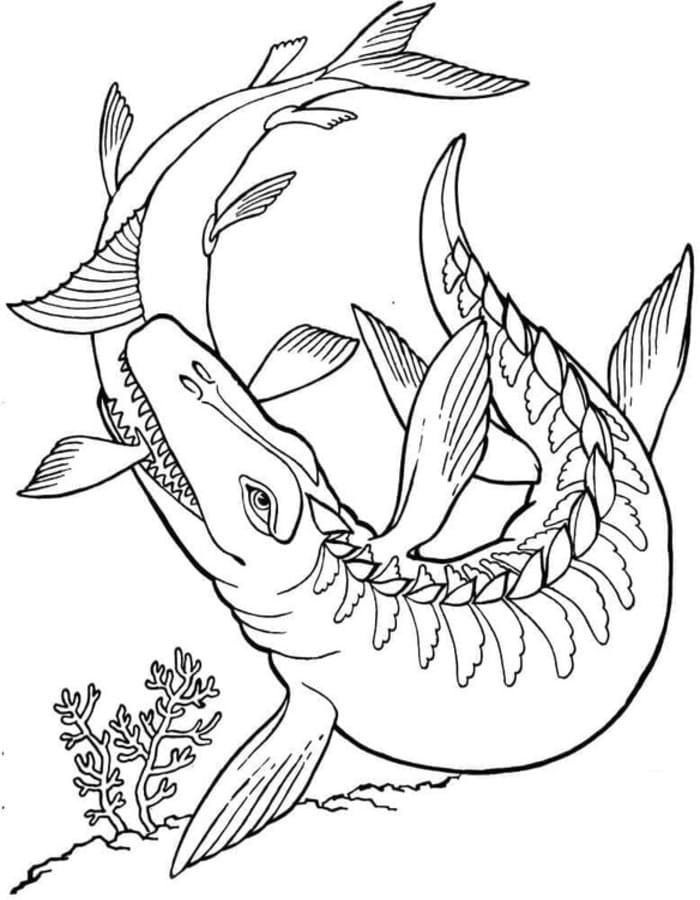Tekenen Mosasaurus gratis simpel