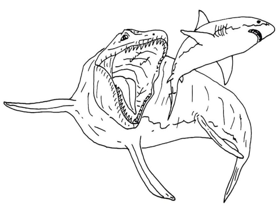 Tekenen Mosasaurus