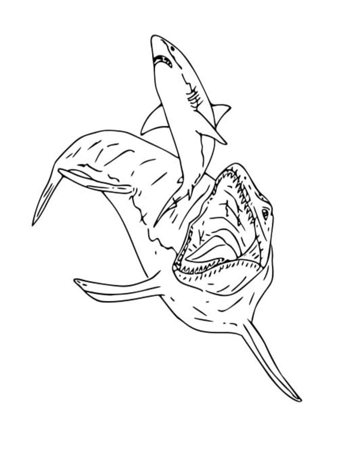 Tekenen Mosasaurus simpel