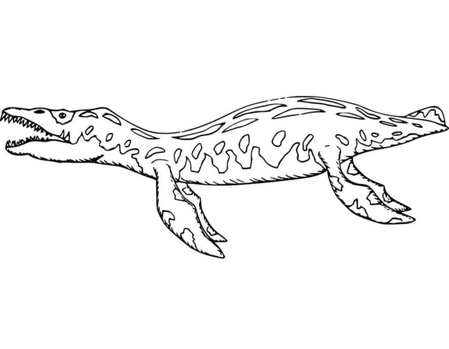 Tekenen Mosasaurus voor kinderen