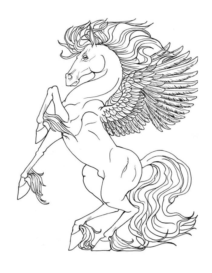 Tekenen Pegasus