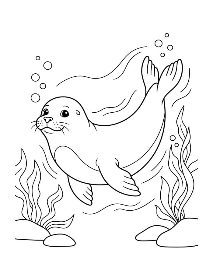 Afbeelding Zeehond afdrukbaar
