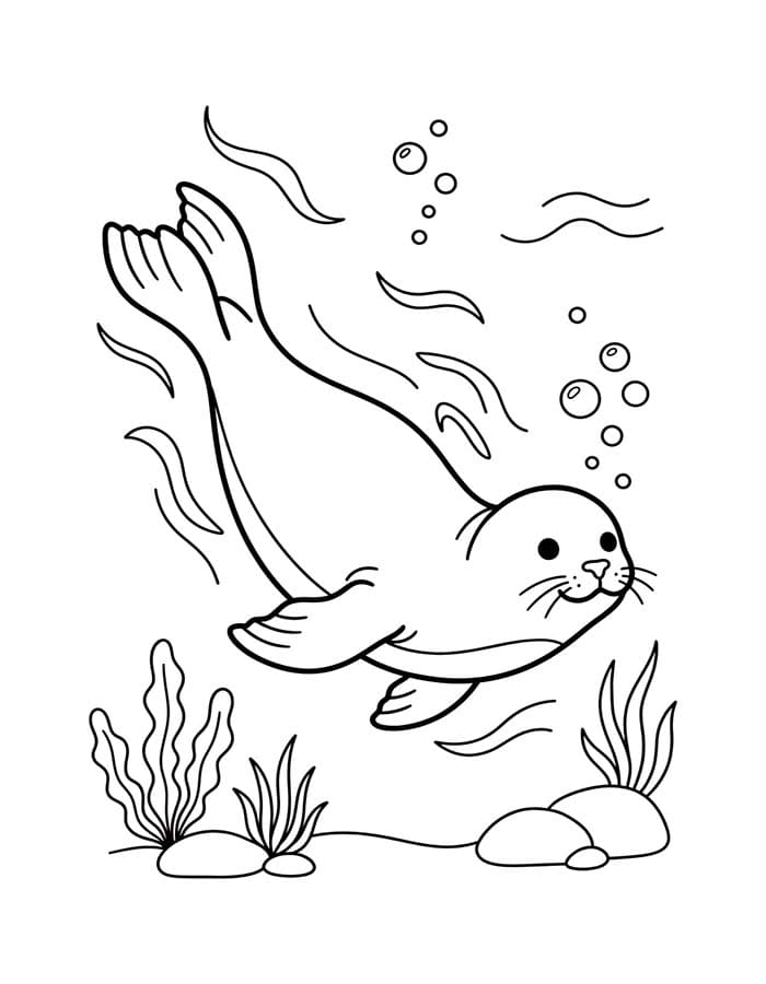 Afbeelding Zeehond gratis afdrukbaar