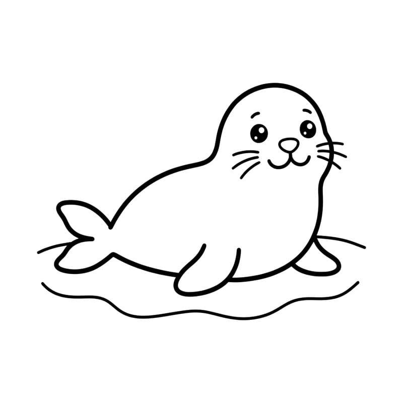 Afbeelding Zeehond