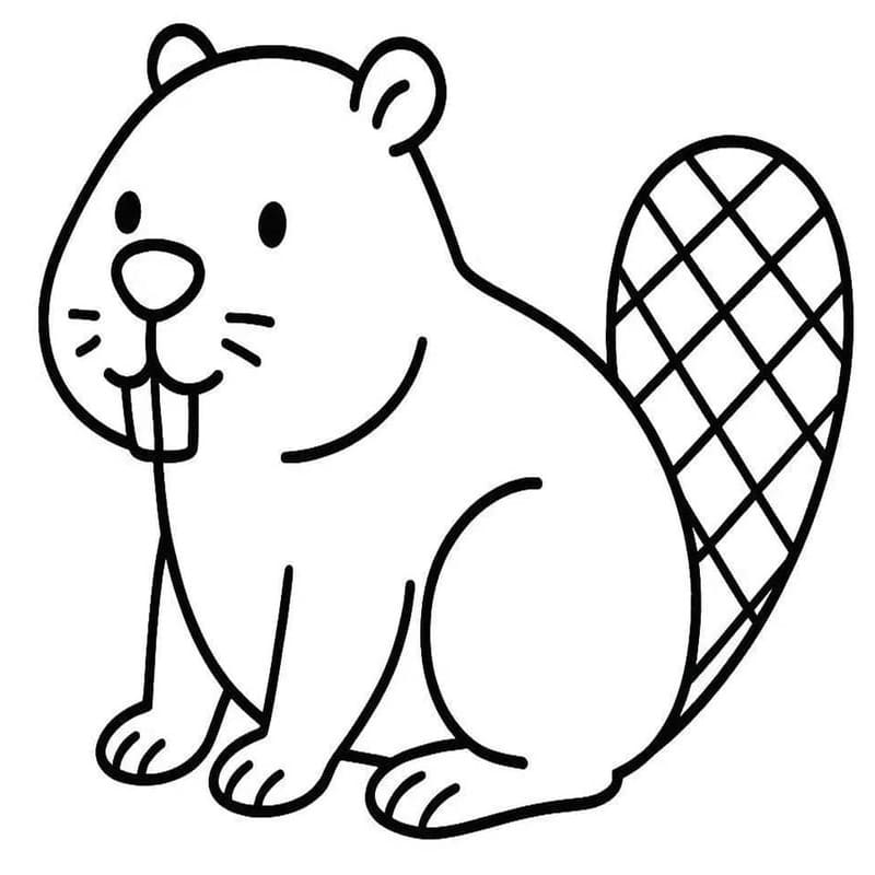 Bever afdrukbaar basis