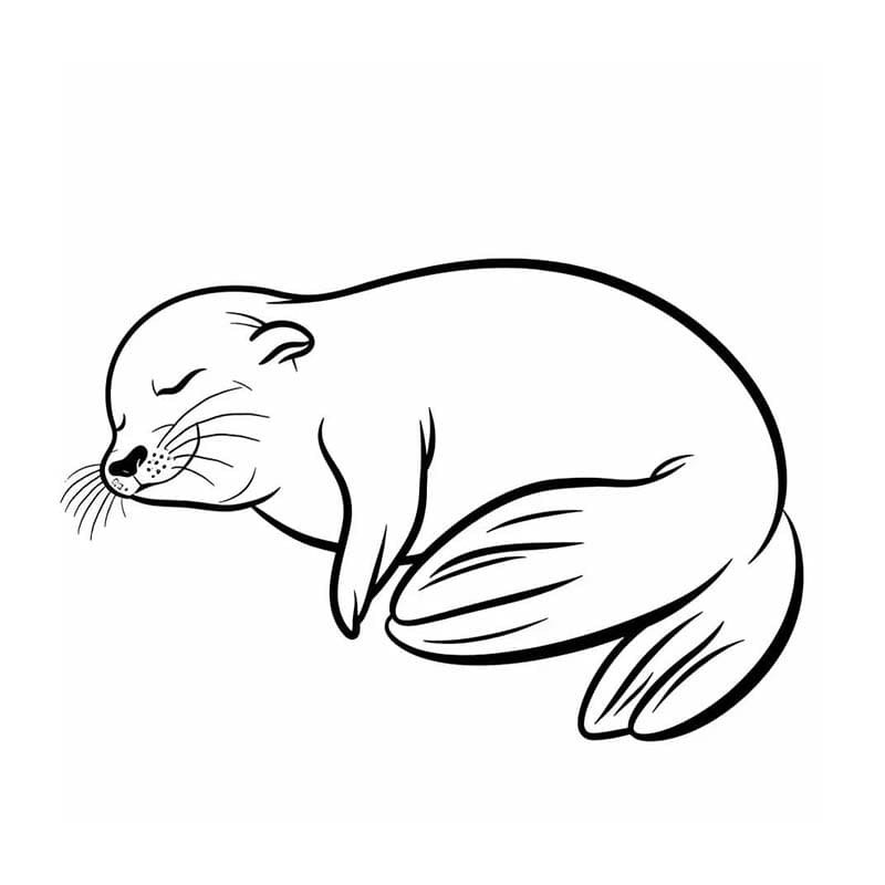 Tekenen Zeehond afdrukbaar