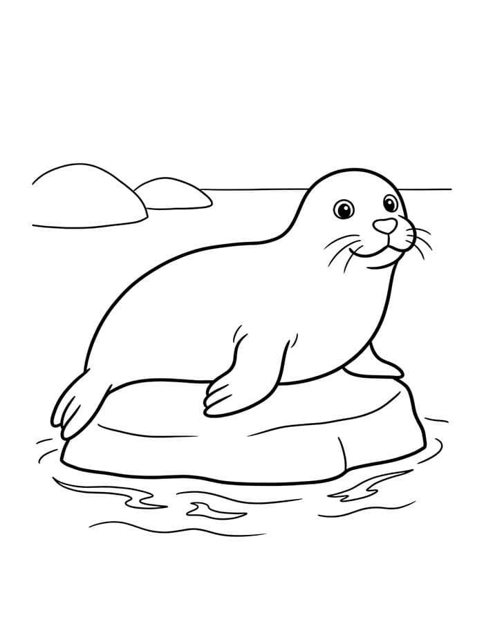 Tekenen Zeehond afdrukbaar simpel