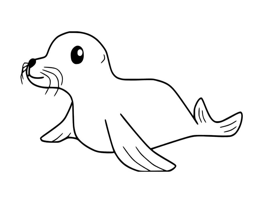 Tekenen Zeehond afdrukbaar voor kinderen