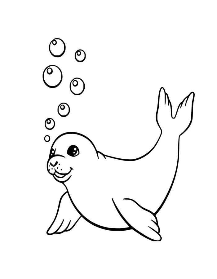 Tekenen Zeehond gratis afdrukbaar basis